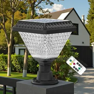 Solar Main Gate Pillar Light Waterproof RGB Led Dusk to Dawn Feature