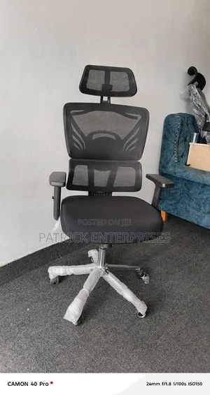 Ergonomic High Back, C. E. O Orthopedic Office Chair