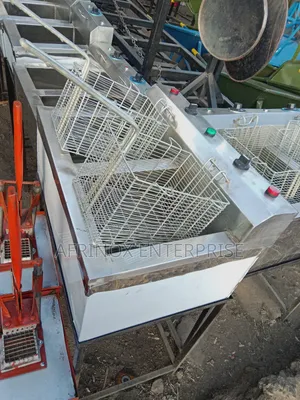 Double Tank Chips Fryer, Electric Powered