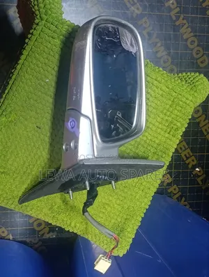 Original Side Mirror/Door Mirror