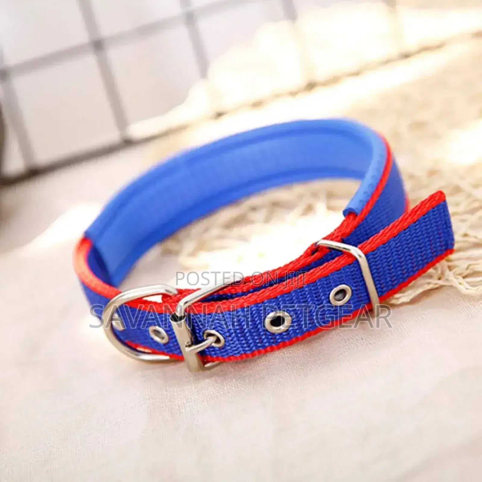 Nylon Dog Collars (Comfortable Foam Padded Adjustable Size) - Small