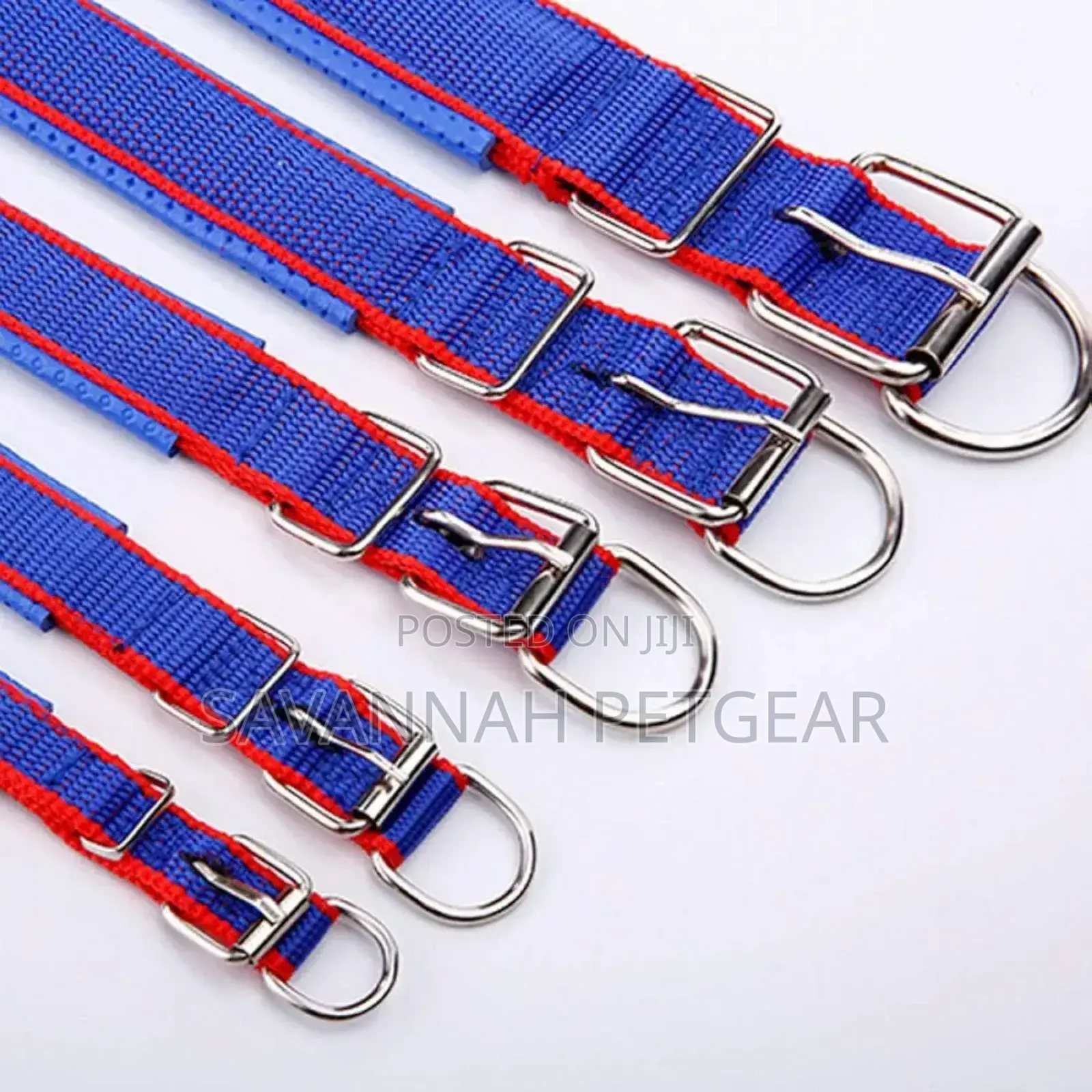 Nylon Dog Collars (Comfortable Foam Padded Adjustable Size) - Small