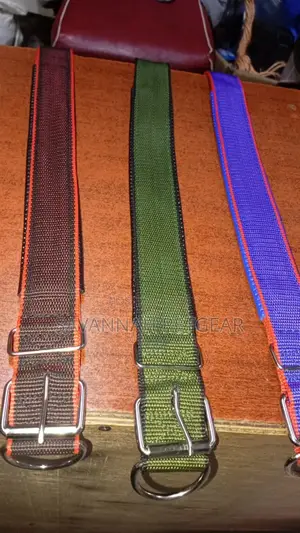 Nylon Dog Collars (Comfortable Foam Padded Adjustable Size) - Small