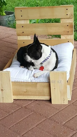 Indoor Dog Bed