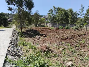 Residential Eighth Acre Plot for Sale in Ngong, Kerarapon Drive