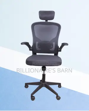 Premium | Ergonomic Office Backrest | Perfect for Home Office