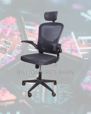 Home Office Supportive Chair Padded | | Order Yours Today