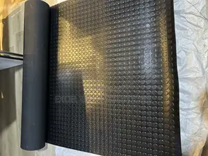 Industrial Grade Rubber Coin Mat