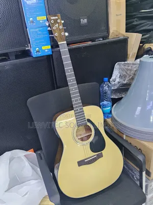 Semi Acoustic Guitar