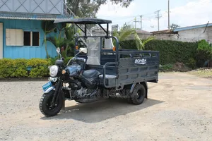 New Bomba 250cc 2025 Gray