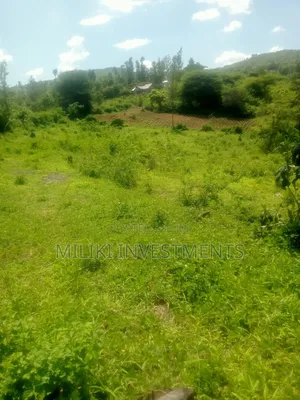 3 Acres Aon Sale at Sabasaba- Igikiro