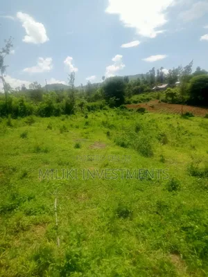 3 Acres Aon Sale at Sabasaba- Igikiro