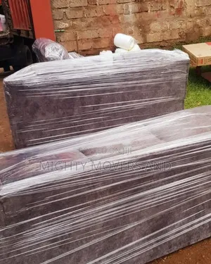 Professional Packers and Movers Are Available