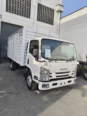 New Isuzu NQR Truck 2025