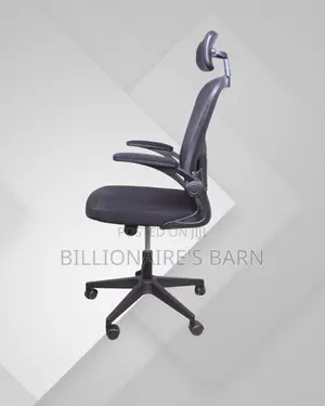 Executive Ergonomic Finish Grey | | Order Yours Today