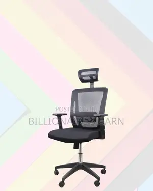Mesh Work Chair With Lumbar Support | Perfect for Home Office