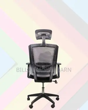 Mesh Work Chair With Lumbar Support | Perfect for Home Office