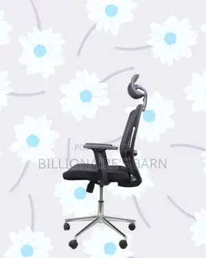 Ergonomic Mesh Chair With Headrest | All-Day Back Support