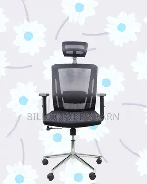 Ergonomic Mesh Chair With Headrest | All-Day Back Support