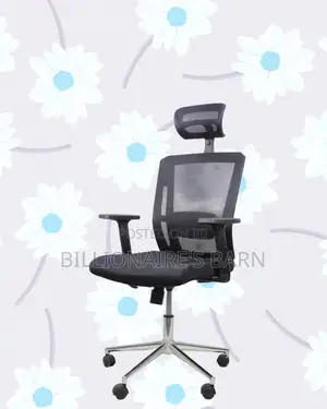 Ergonomic Mesh Chair With Headrest | All-Day Back Support