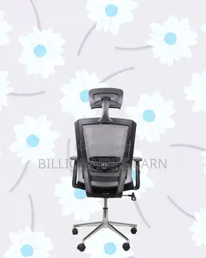 Ergonomic Mesh Chair With Headrest | All-Day Back Support