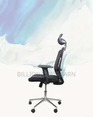 Premium Mesh Executive Seat | Designed for Long Hours