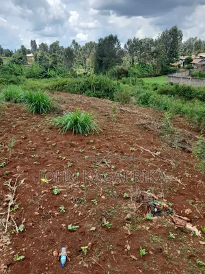 Thindigua Development Land for Sale