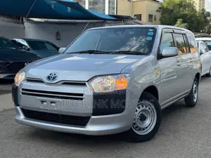 Toyota Probox 1.5 DX 2WD 2020 Silver