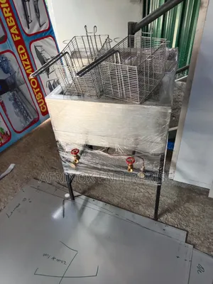 Stainless Steel 2 Burner Gas Fryer– Commercial Use