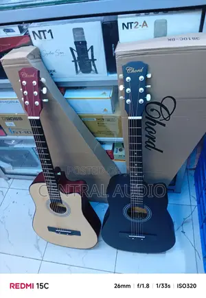 Acoustic Guitar