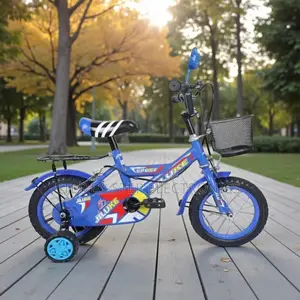 12 Inch Children Bicycle Fun Cartoon Colorful Design Training Wheels