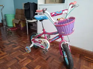 Raleigh Lil' Honey Bicycle