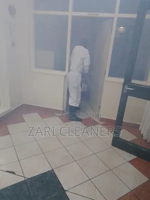 Effective Pest Control Solutions