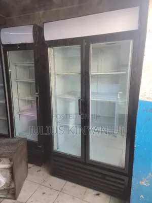 Commercial Display Twin Door