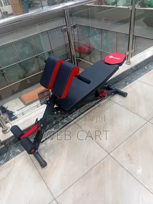 Adjustable Ab Bench With Leg Support