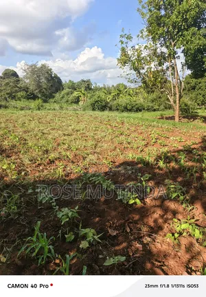 9 Acres at Sengani