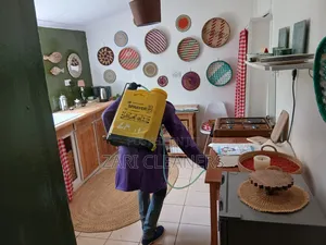 Funitures Cockroaches Fumigation Extermination