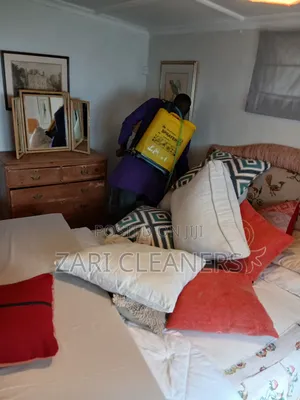 Upholstery Rugs Fumigation/Pest Control Solution