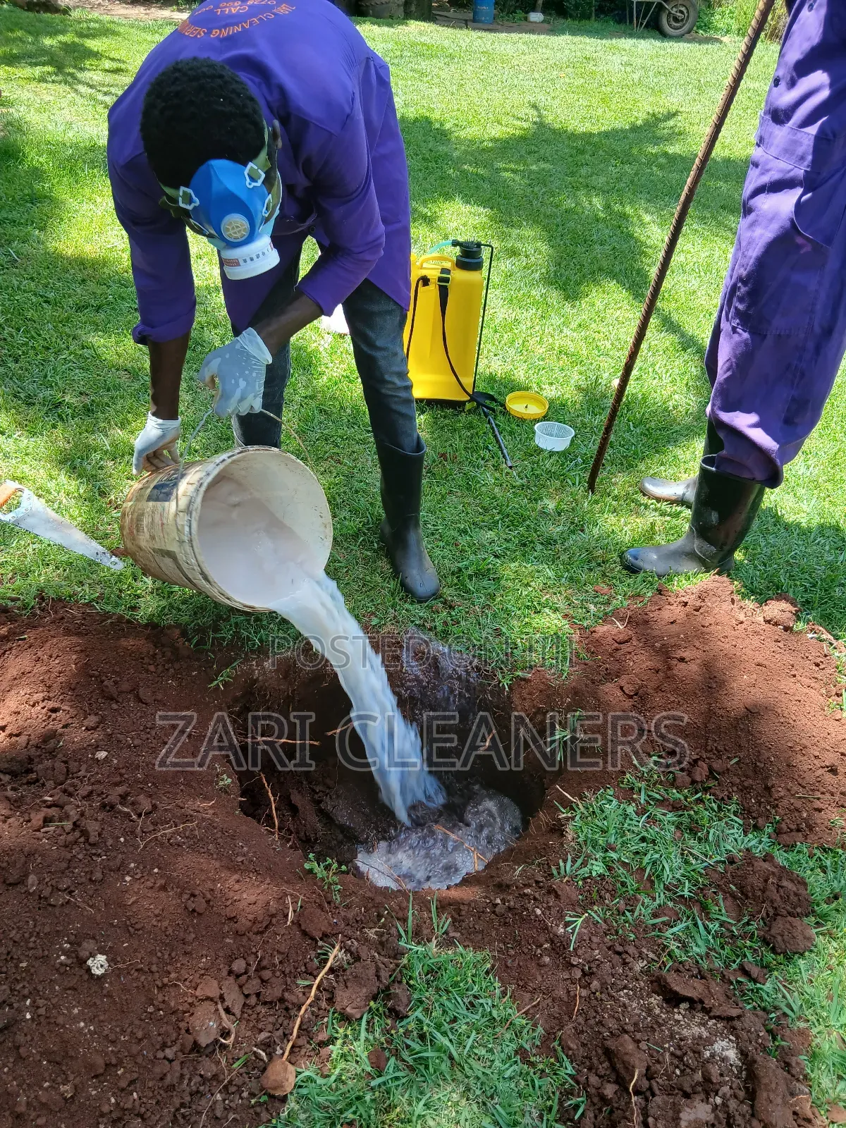 Termites Pest Control Experts