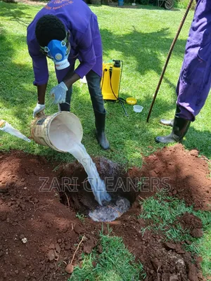 Termites Pest Control Experts