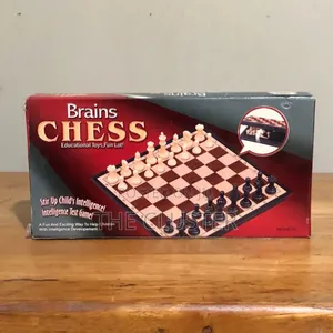 Brains Chess Education Toys/Fun Lot