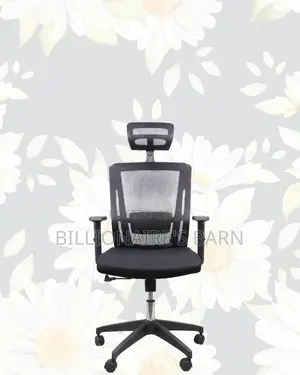Breathable Mesh Chair For Long Hours | Ideal For Students Creatives