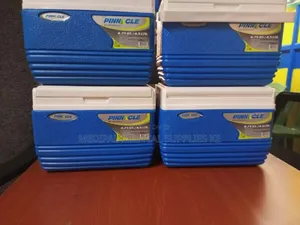 Cooler Box-4.5l