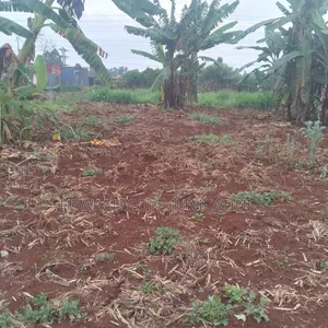 Prime 1 Acre for Sale Kianjogu