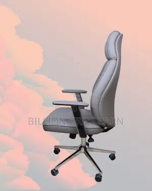 Premium Executive Chair Grey | | Nairobi Delivery Guaranteed