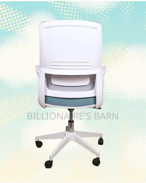 Executive Lumbar Imported | Support | Comfort Meets Style