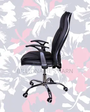 Executive Seat Leather Office | | Order Yours Today