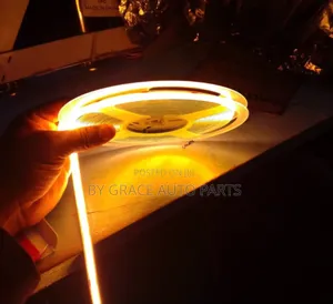 Warm White/ White Strip Led Light