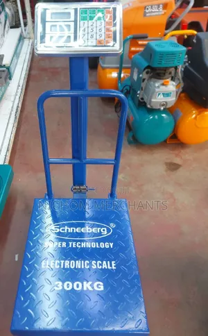 Schneeberg 300kg Digital Platform Scale/300kg Digital Weighing Scale