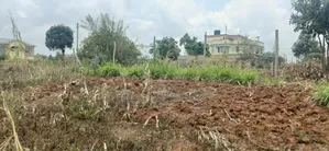 0.578ha(1/8 Acre) Plot of Land for Sale in Kikuyu